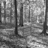 Confederate earthworks of Vaughan's brigade