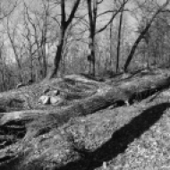 Remnants of Confederate works on Pigeon Hill